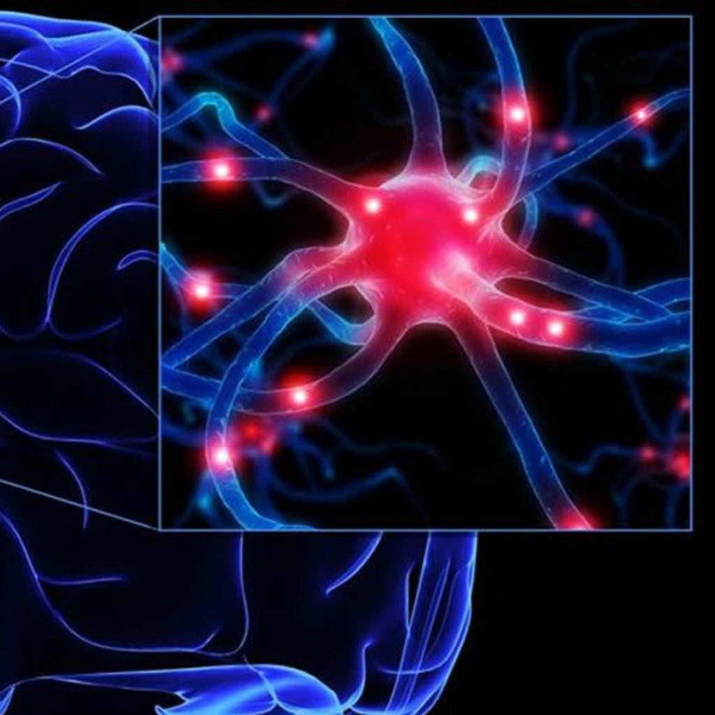 cerebro