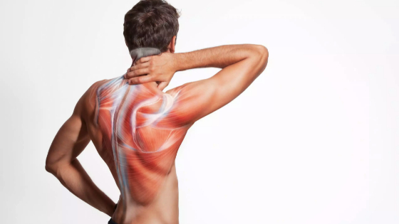 Dolor muscular